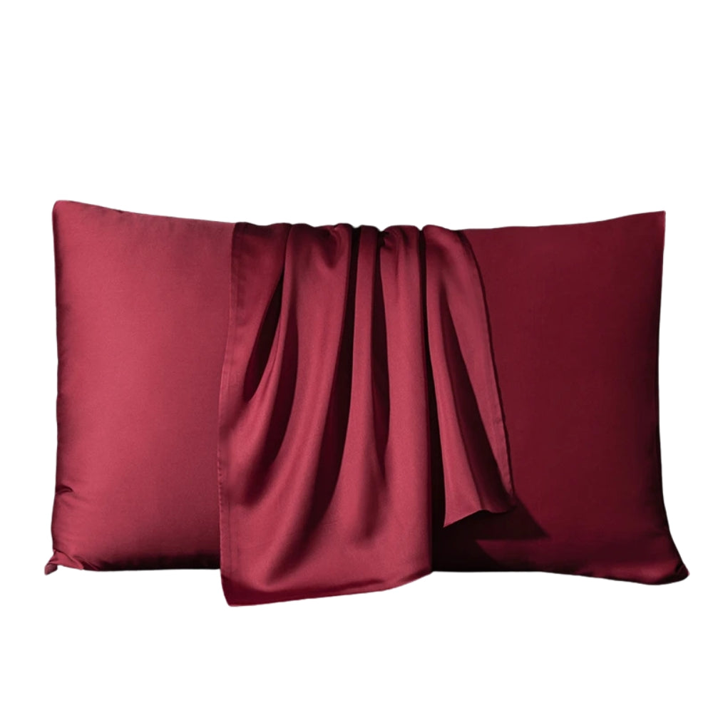 Mulberry Silk Pillow Case