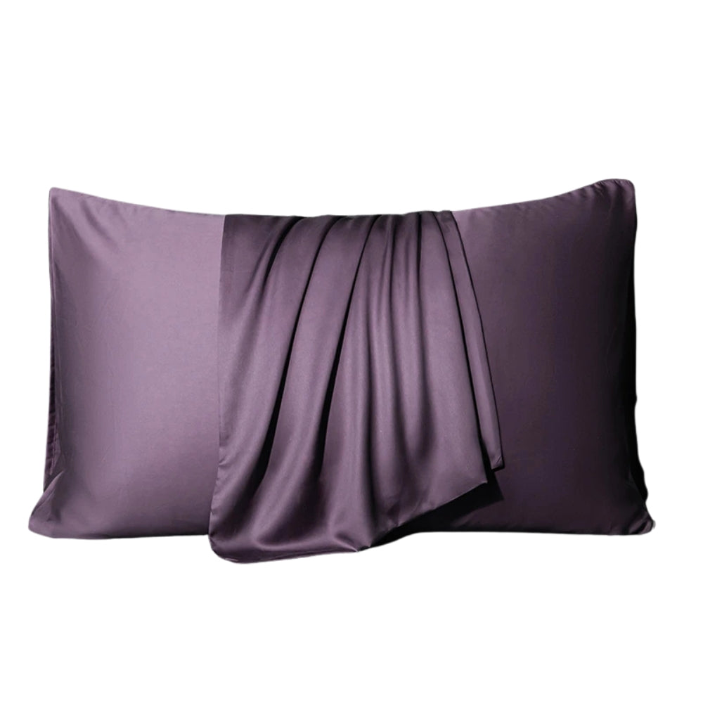 Mulberry Silk Pillow Case